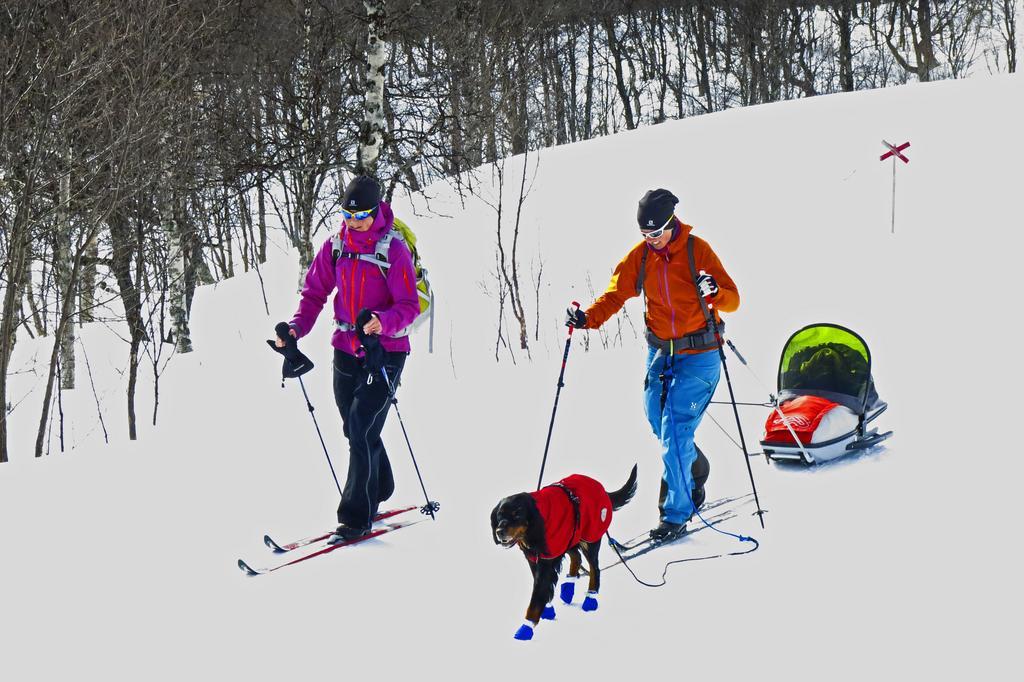 Eriksgardens Fjaellhotell Funäsdalen エクステリア 写真